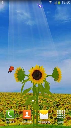 Sunflower - 3D Garden截图1