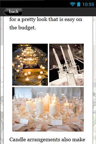 Wedding On A Budget截图3