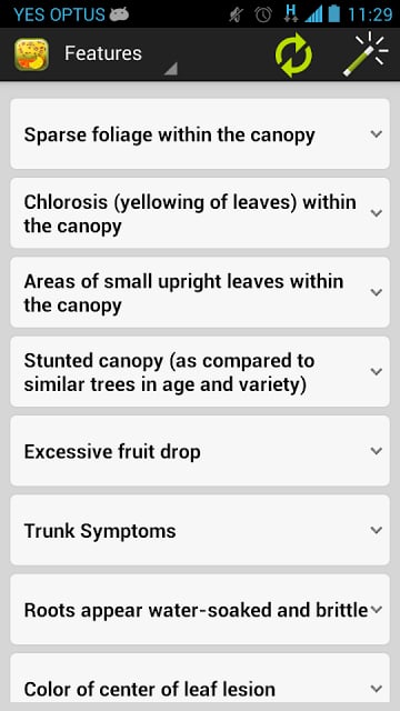 Citrus Diseases Key截图1