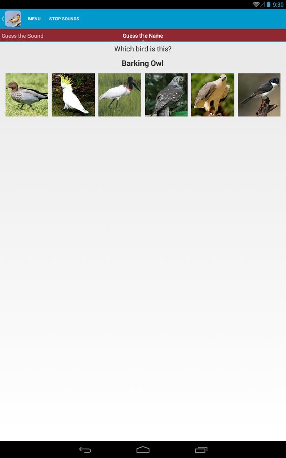 Australian Birds Sounds Free截图5