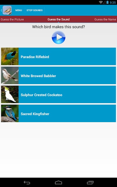 Australian Birds Sounds Free截图4