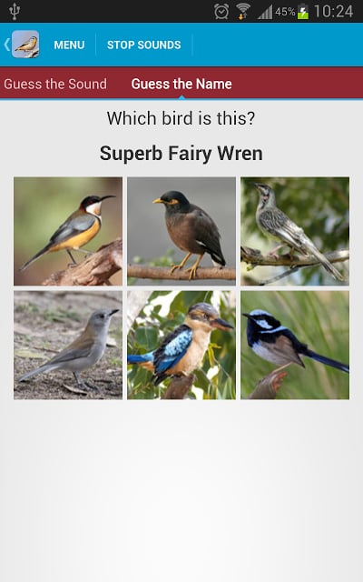 Australian Birds Sounds Free截图9