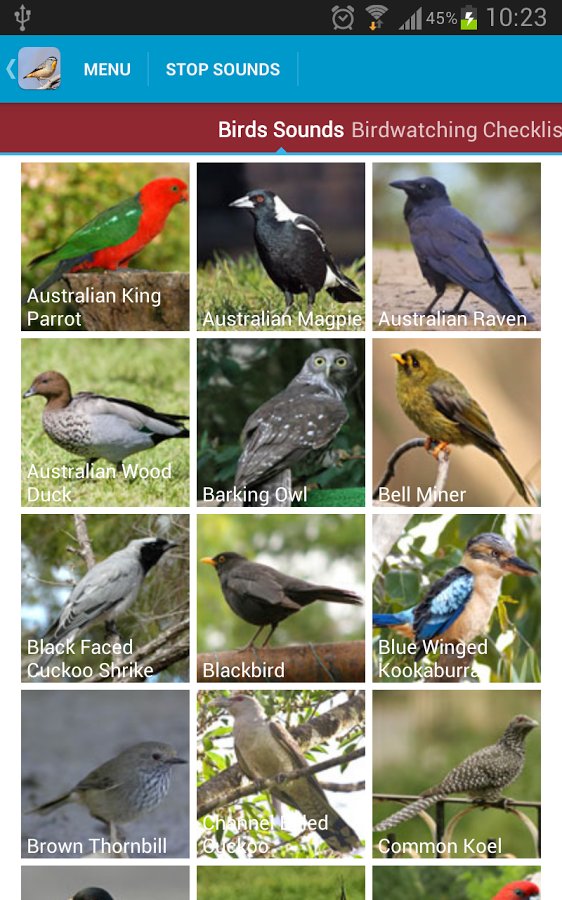 Australian Birds Sounds Free截图10