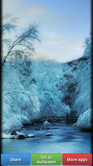 Winter Wonderland HD Wallpaper截图6