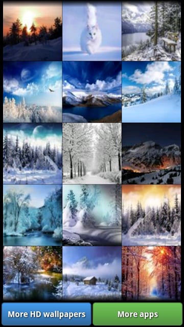 Winter Wonderland HD Wallpaper截图8