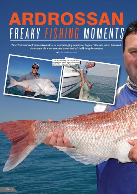 Fishing SA Magazine截图10