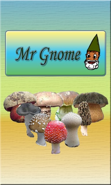 Mr Gnome - Setas截图8