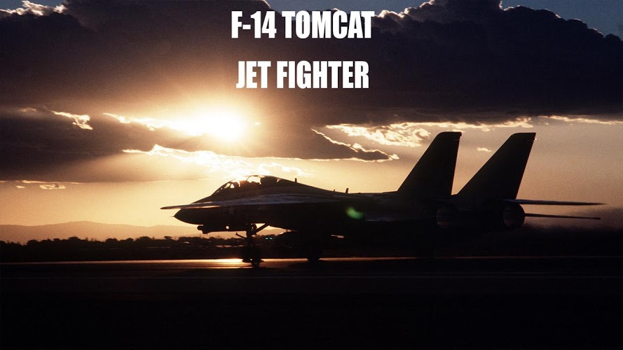 F14 Tomcat Jet Simulator截图3