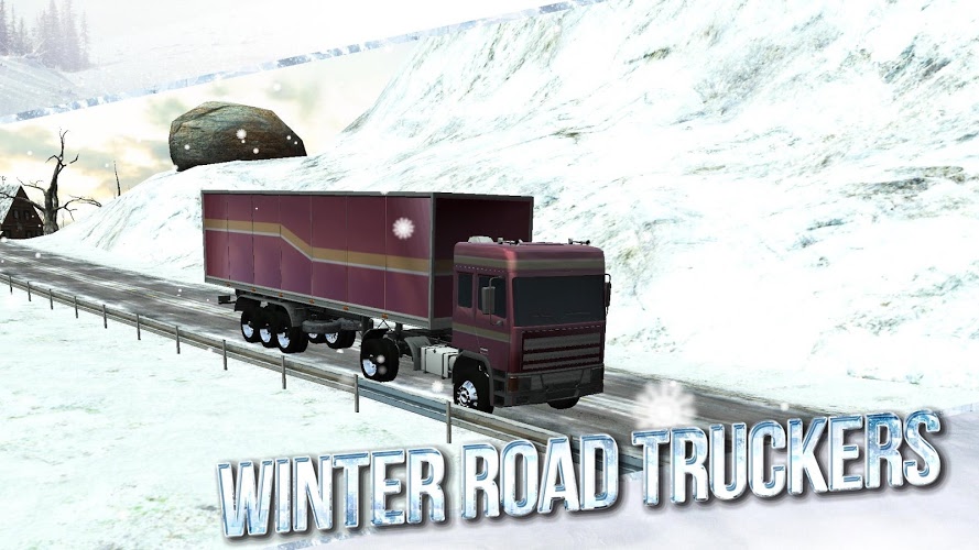 Winter Road Trucker 3D截图1