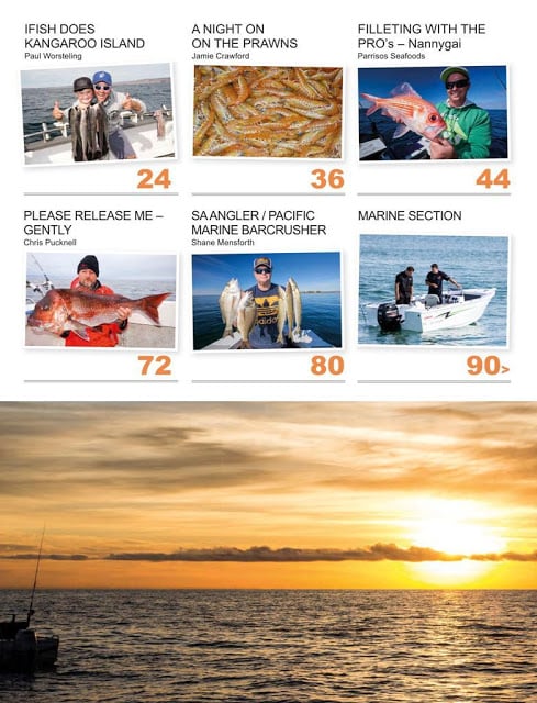 South Australian Angler Mag截图11