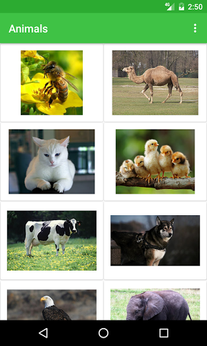 Animals Names截图2