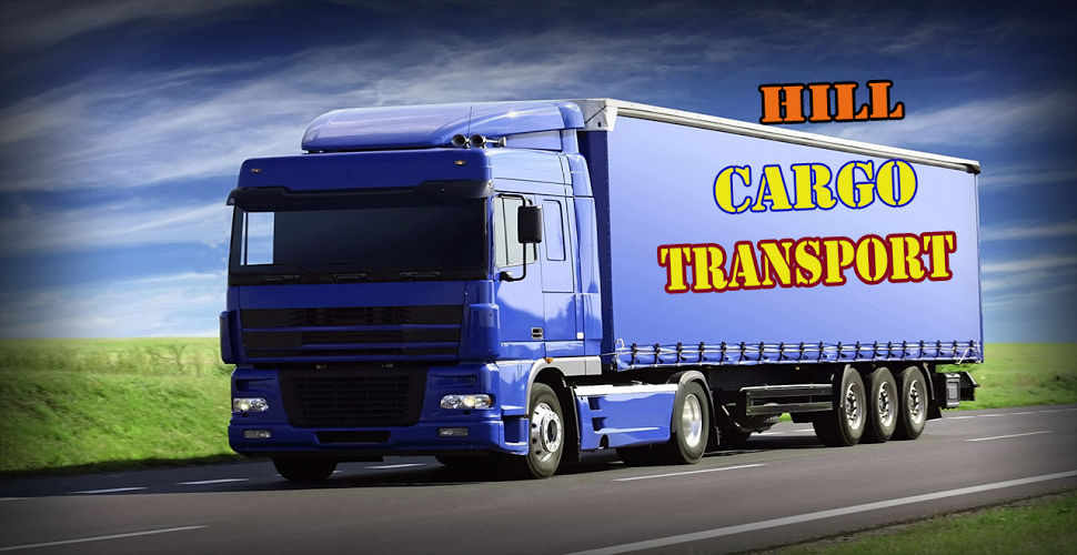 Extreme Hill Cargo Truck 3D截图5