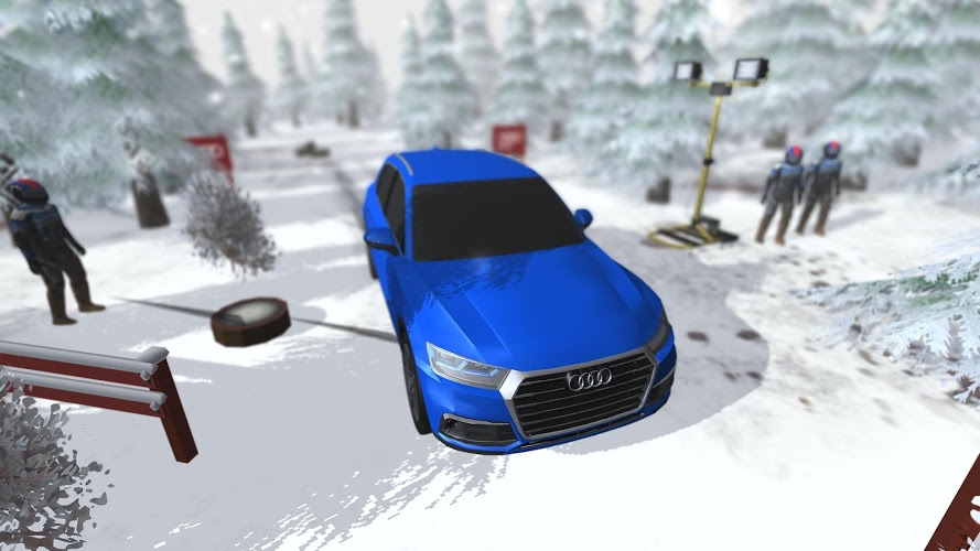 Audi Struckd截图2
