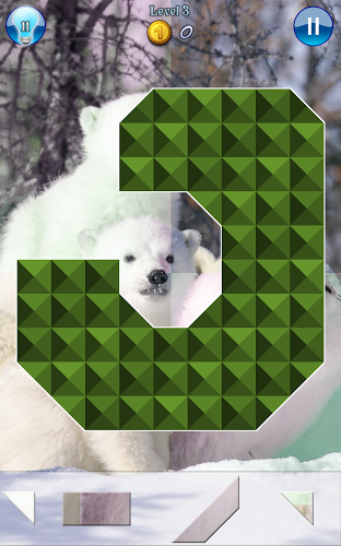 Hidden Pieces: Polar Bears截图3