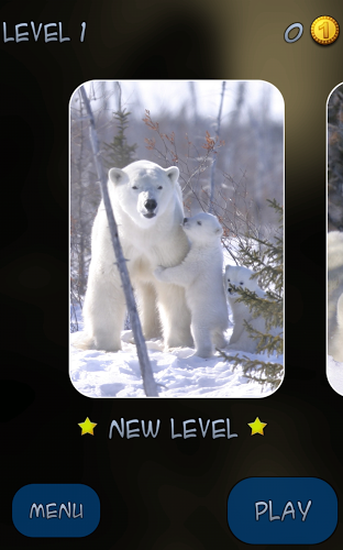 Hidden Pieces: Polar Bears截图2