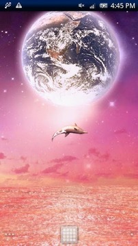 Dolphin fantasy Free截图