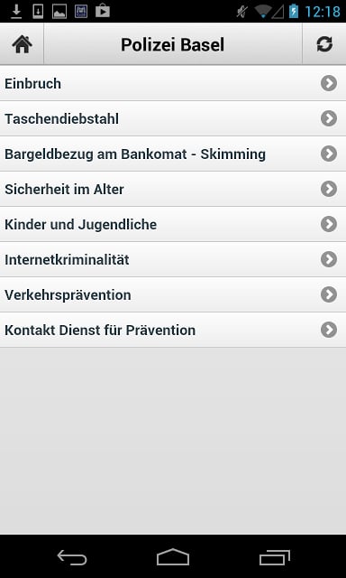 Polizei Basel截图3