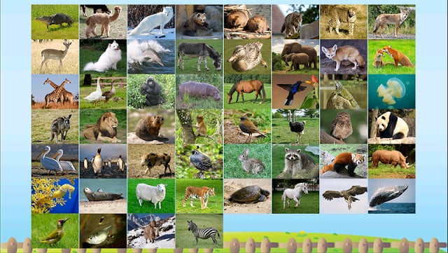 ABC Animal Flashcard Write截图5