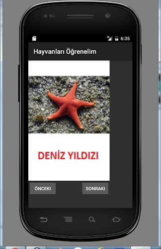 çocuk oyunları Türkçe hayvan截图1