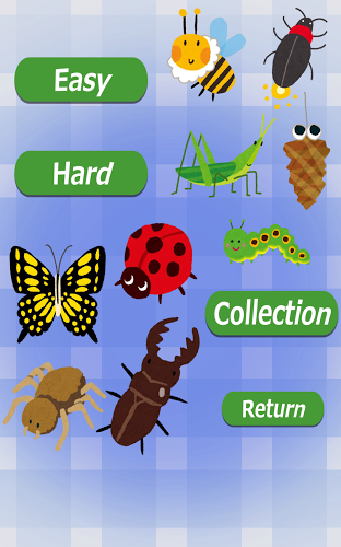 Insect Concentration (game)截图2