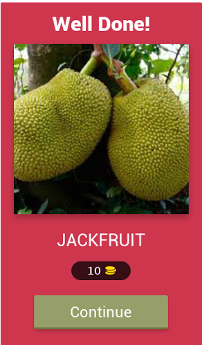 Fruit Guess截图4