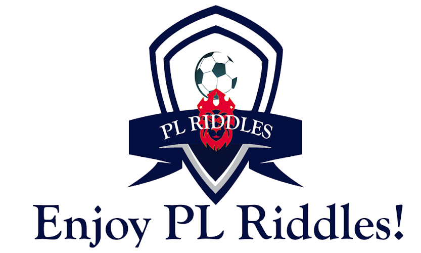 PL Riddles截图2