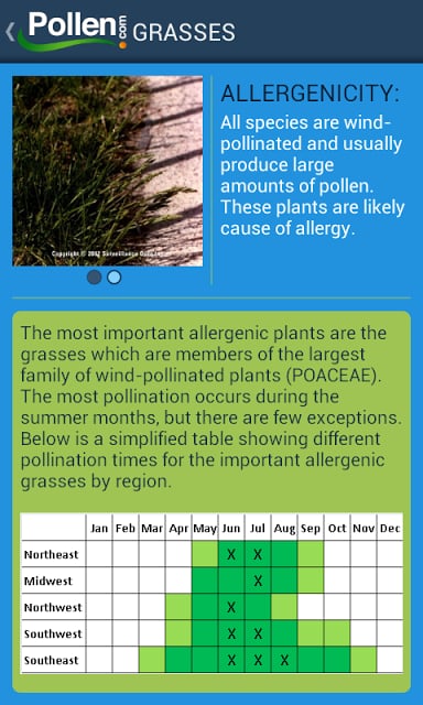 Allergy Alert截图4