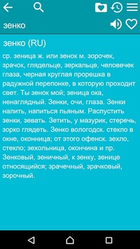 俄罗斯词典截图