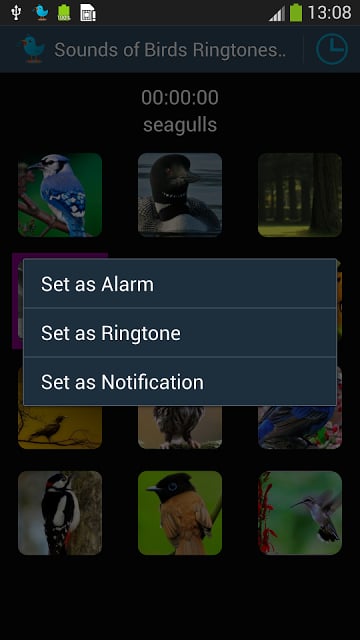鸟类的铃声截图3