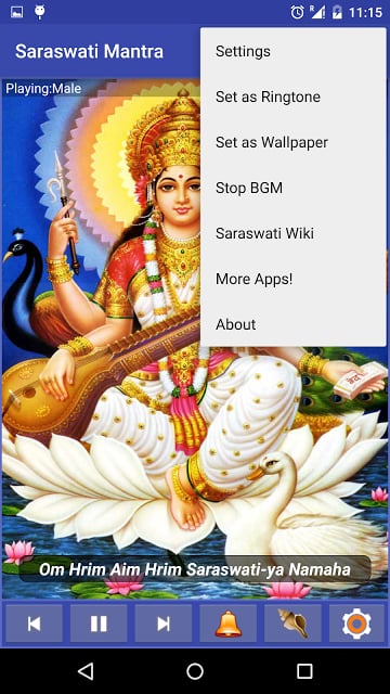 Maa Saraswati Mantra截图6