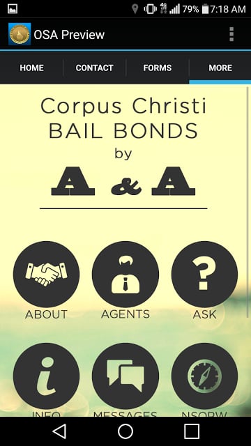 Corpus Christi Bail截图2