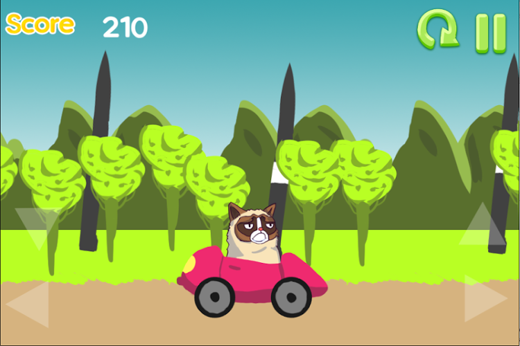 Grumpy Cat Drive截图3