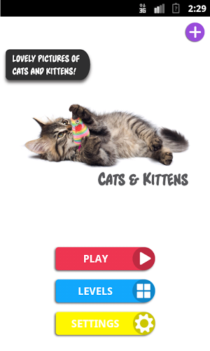 Differences: Cats & Kittens截图1