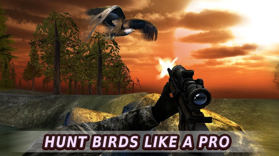 Bird Hunting Master Shooter截图5