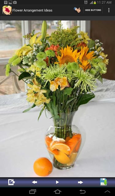 Flower Arrangement Ideas截图3