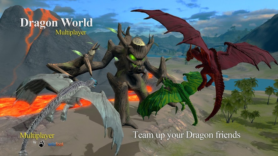 Dragon Multiplayer 3D截图1