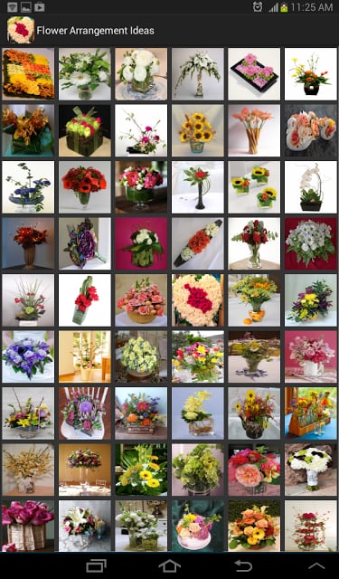 Flower Arrangement Ideas截图6