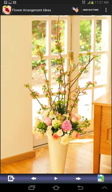 Flower Arrangement Ideas截图8