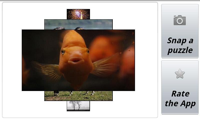 Snap 'o' ZigSaw Puzzle截图2