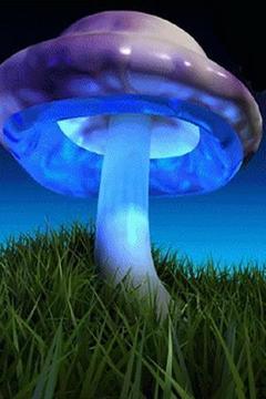 Hallucinogenic Blue Mushroom截图