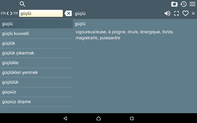 FR-TR Dictionary Free截图3