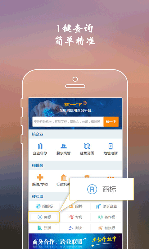 商标查询(核一下)截图1