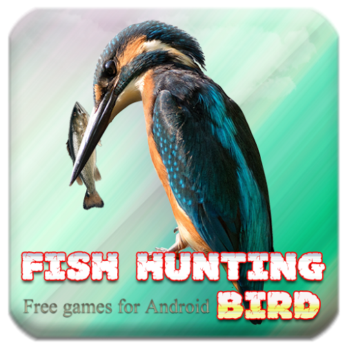 Fish hunting bird截图1