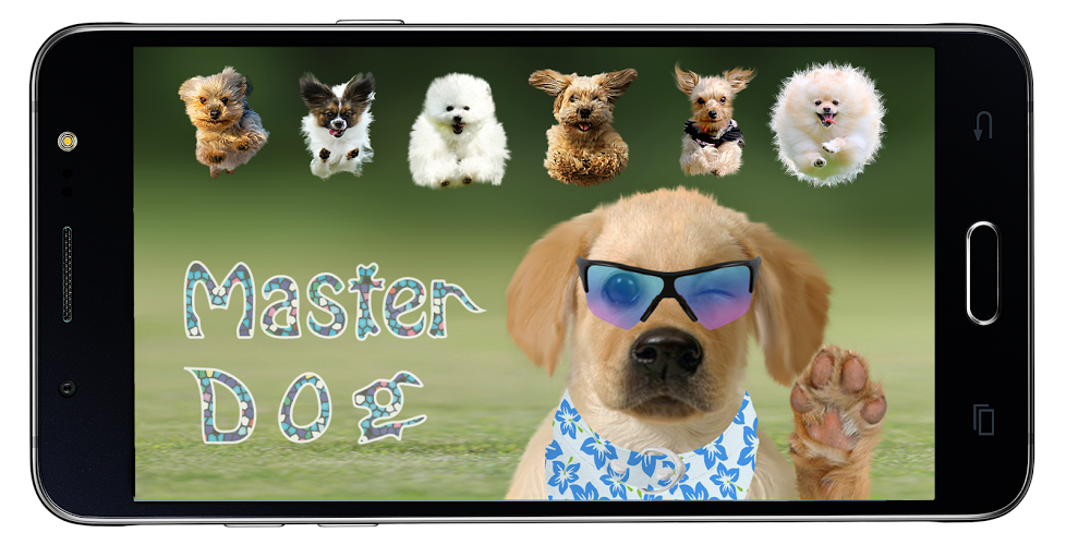 Dog Sounds Master截图1