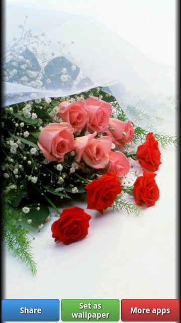 Wedding HD Wallpapers截图1