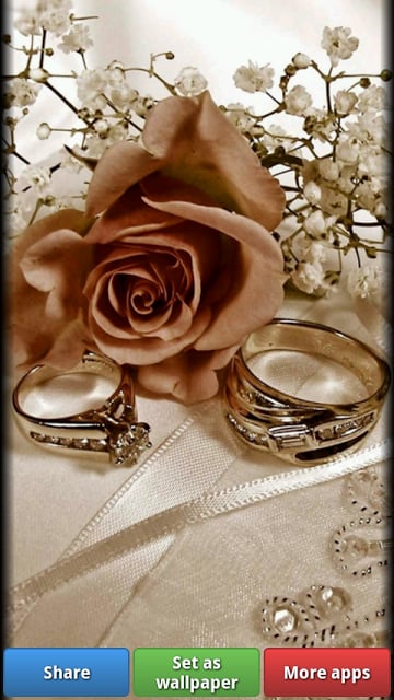 Wedding HD Wallpapers截图6