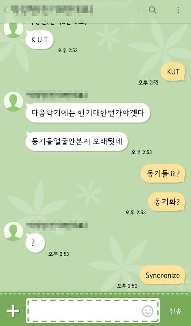 Stitch GREEN : KakaoTalk Theme截图3