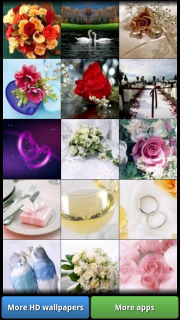 Wedding HD Wallpapers截图5