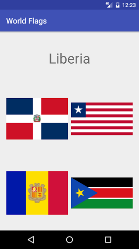 World Flags截图4