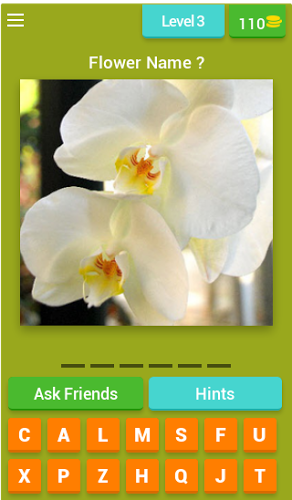 Flowers Quiz Trivia截图4